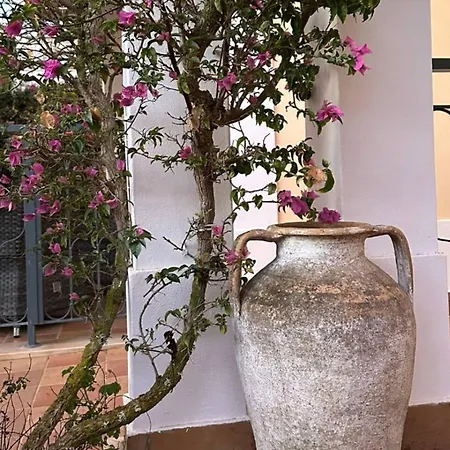 Appartement Casa Clara Sun, And Pool *